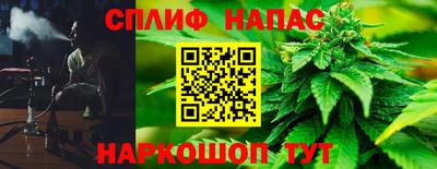 гидра Волгодонск