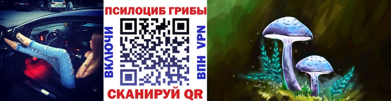 где найти наркотики  Зеленокумск  Галлюциногенные грибы Psilocybine cubensis 